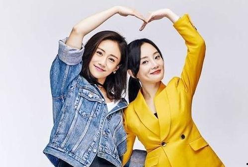 刘芸最新爆料新闻视频,揭秘娱乐圈不为人知的幕后真相  第1张